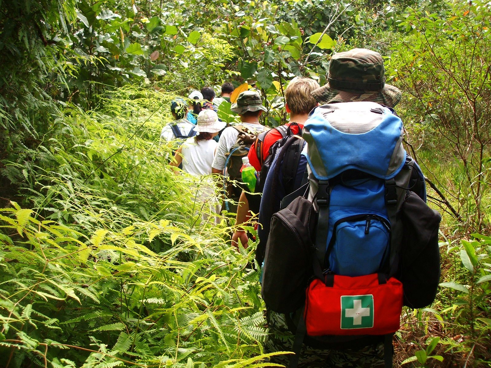 Hiking in the jungle.