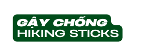 Gậy chống hiking sticks